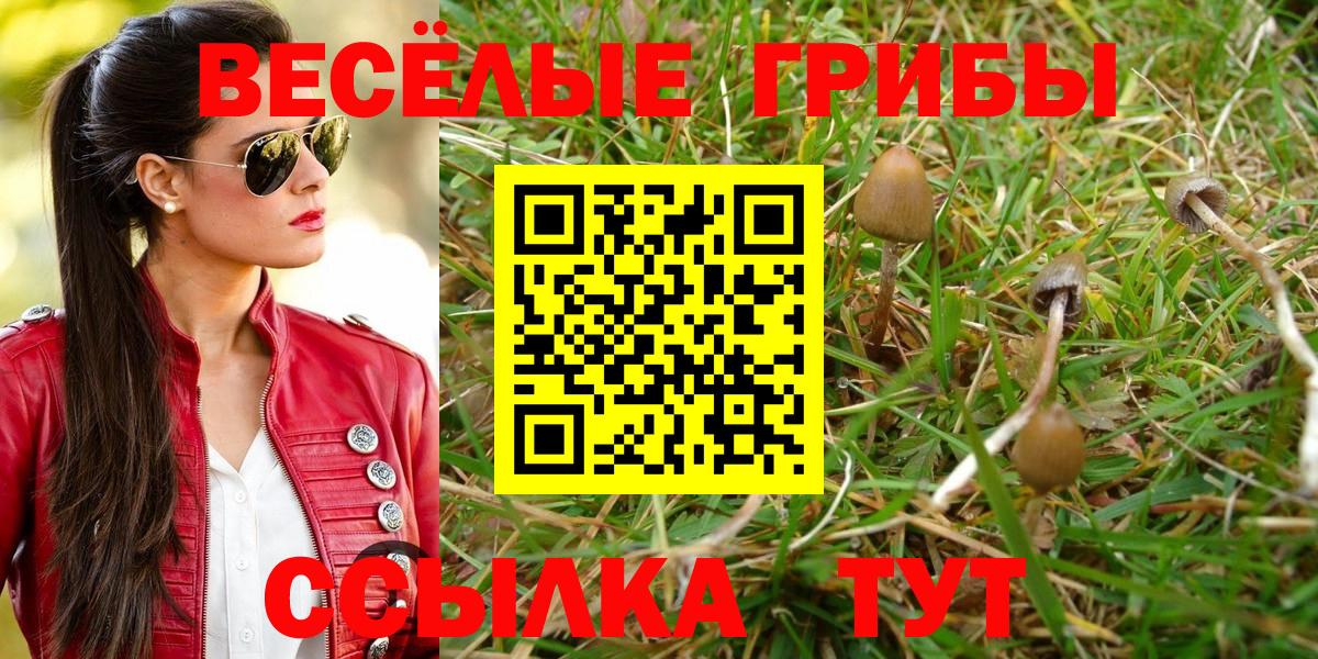 МДМА Кизилюрт