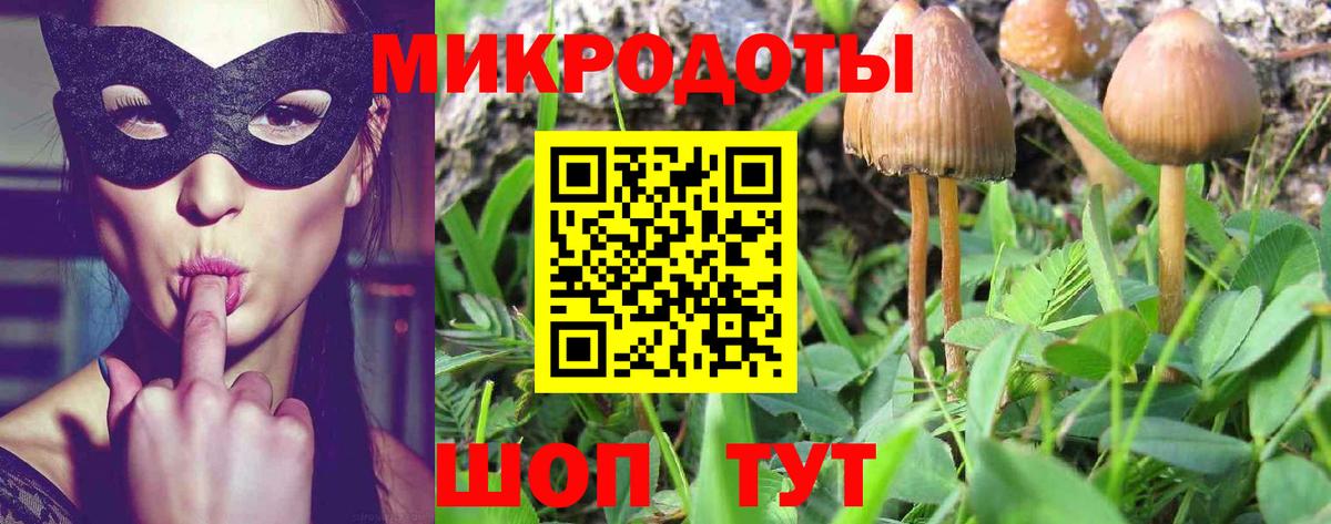 Кизилюрт  Галлюциногенные грибы Cubensis  Галлюциногенные грибы прущие грибы  Вход с VPN 