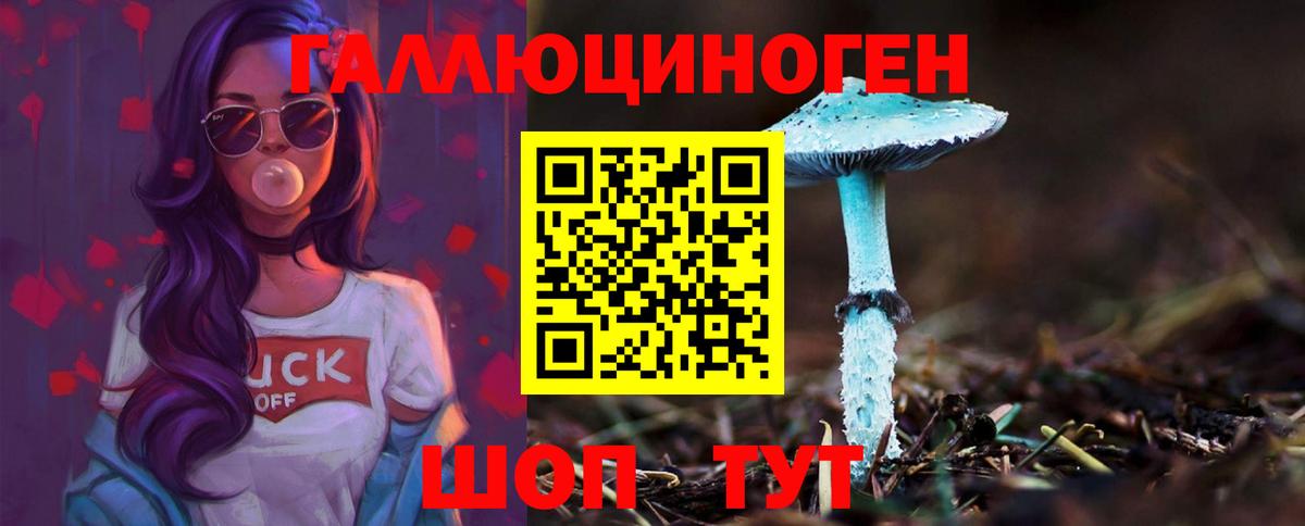 Галлюциногенные грибы Psilocybine cubensis Кизилюрт
